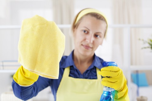 Professional carpet cleaning in a Sands End home interior