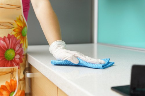 Deep cleaning upholstery for pet stain odour removal in Sands End