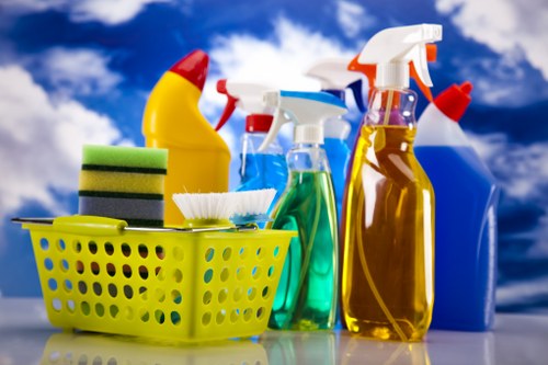 Professional carpet cleaning in Sands End living room