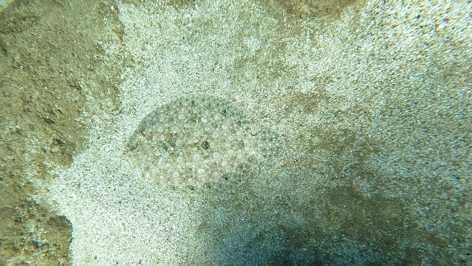 Close-up image of a sandy surface with a circular pattern of small white spots, possibly reducing interference from dirt or debris, and areas of rough, grainy texture. The scene is bathed in natural l